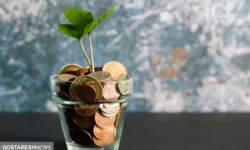 حقوق بازنشستگی چگونه بین بازماندگان تقسیم می‌شود؟