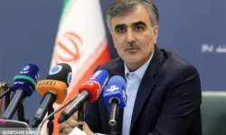 واکنش جنجالی فرزین درباره قیمت دلار | بازار ارز آرام می شود؟