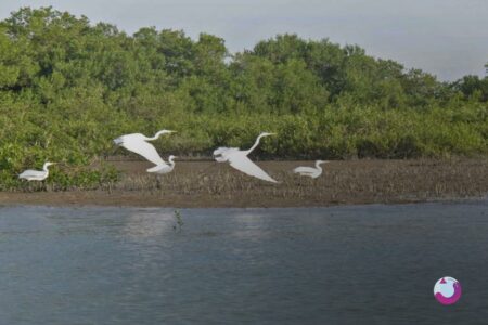 لیست جاهای دیدنی ابوموسی | عکس و آدرس