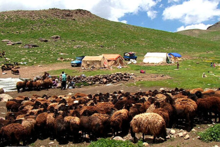 عشایر ایلام؛ ستون پنهان پایداری غرب کشور در سایه کمبود زیرساخت‌ها