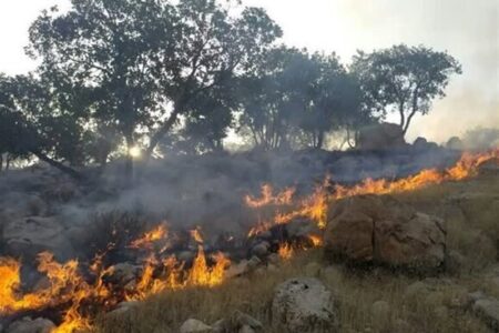 نباید اجازه دهیم حتی یک درخت در کشور طعمه حریق شود