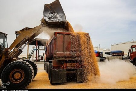 آغاز توزیع نهاده‌های دامی تحت کلید دولت/ امضای طلایی برنگردد