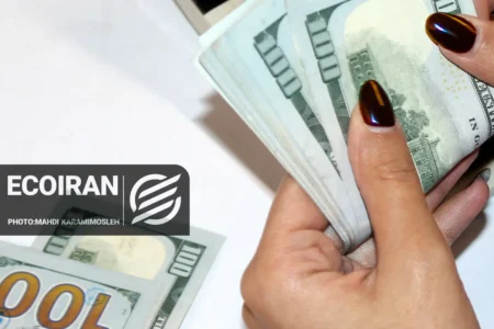 ارز ترجیحی قربانی چند نفر شد/ ۶ میلیارد دلار کجا رفت؟