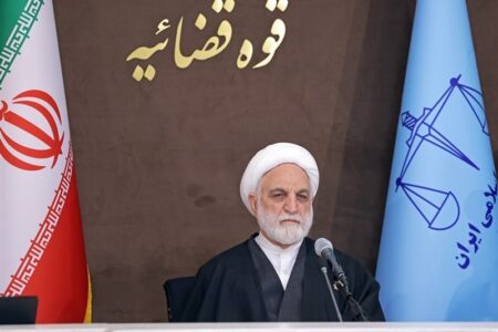 اژه‌ای: ادعای پرداخت جریمه 11هزار میلیاردی از سوی قاچاقچی صحت نداشت