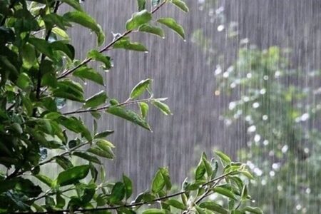 بارش تگرگ در ایلام