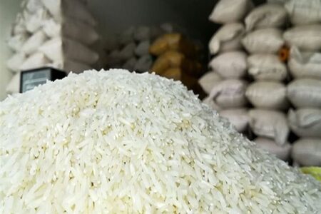بازار برنج زیر فشار سیاست‌های متناقض؛ مجلس خواستار پاسخگویی دولت شد