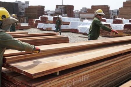 تحلیل تجارت و تولید محصولات جنگلی؛ صادرات جهانی محصولات چوبی و کاغذی ۱.۴درصد افزایش یافت