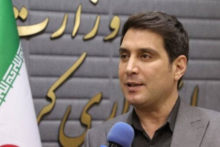 تشریح وضعیت فعالیت مادران شاغل در کردستان