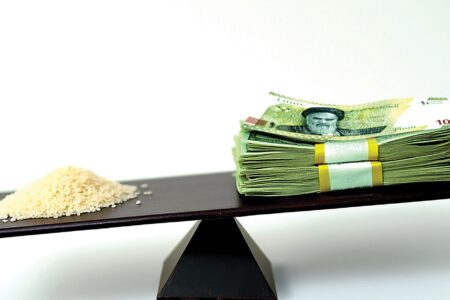 راه‌حل کنترل قیمت برنج صرفاً تخصیص یا حذف ارز ترجیحی نیست