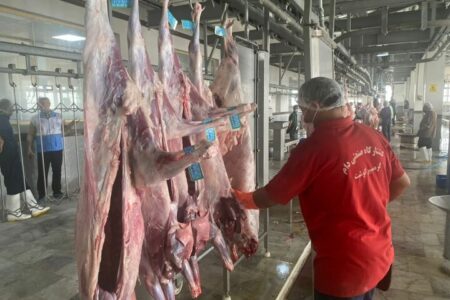 زنجیره سرد گوشت تا دورترین شهرستان‌های استان بوشهر