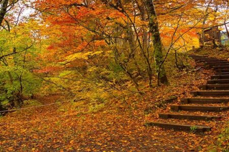 سفر پاییزی با خانواده؛ برنامه‌های خانوادگی و تفریحات پاییزی