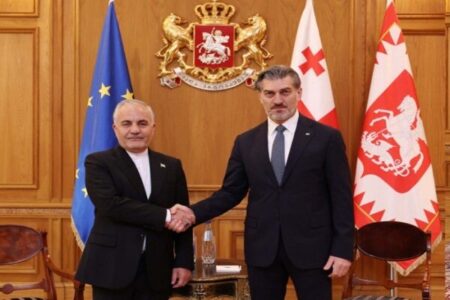 سفیر ایران در پایان ماموریت خود با رئیس‌جمهور گرجستان دیدار کرد