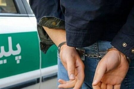 مهدی عربلو، جراح زیبایی قلابی دستگیر شد+تصویر و جزئیات پرونده