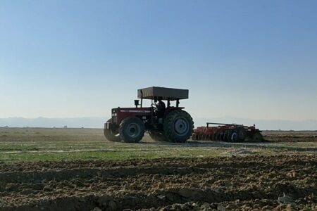 هدف گذاری برای کشت جو در سطح ۸ هزار هکتار از اراضی کشاورزی دهلران