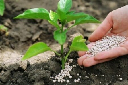 هسته‌ای در کشاورزی ــ 69 |کاربرد فناوری هسته‌ای در بهینه‌سازی مصرف کود کشاورزی