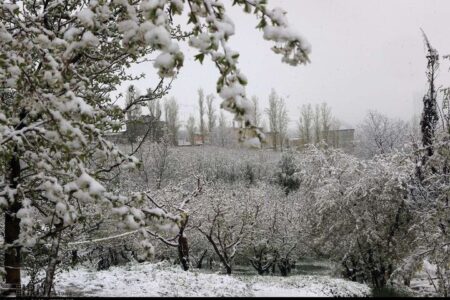 هشدار هواشناسی به ۲۵ استان؛ خسارت به محصولات کشاورزی با تشدید بارش‌ها