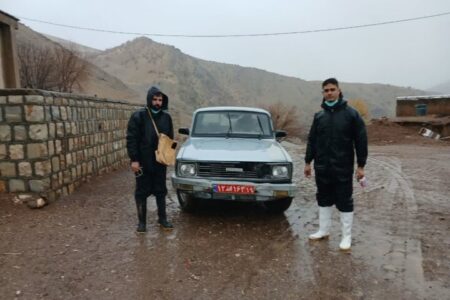 واکسیناسیون دام‌ها در هرسین برای مقابله با تب برفکی