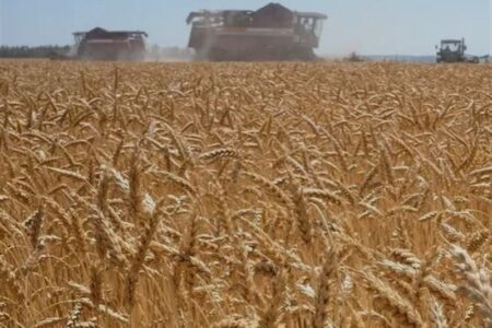 ورود کشتی‌های بزرگ گندم به کشور/ ذخایر راهبردی تقویت می‌شود