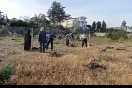 پویش نهالکاری «در سایه مادر» در ساحل مازندران