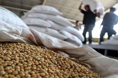 کاربرد فناوری هسته‌ای در جلوگیری از فساد سویا در انبار