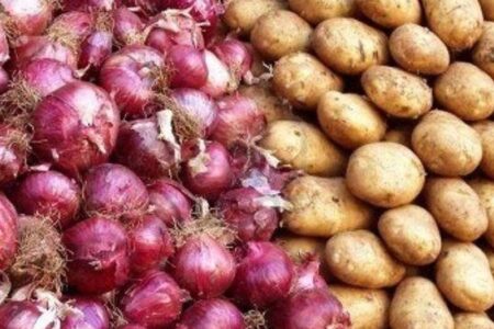 کمبودی در بازار میوه‌های ویژه شب یلدا وجود ندارد