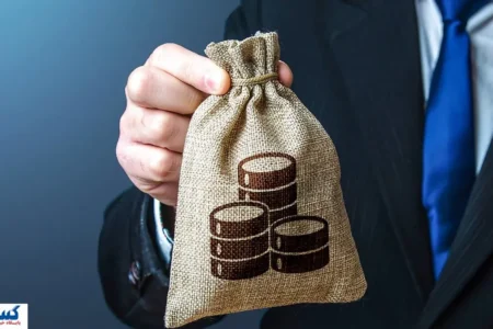 یارانه حمایتی جدید دولت؛ هر ماه ۲ میلیون تومان برای این افراد