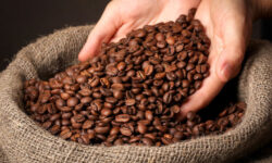افزایش ۲۱درصدی ارزش صادرات جهانی قهوه؛ برزیل در صدر صادرات