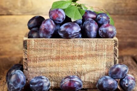 ایران در جایگاه ششم تولید جهانی آلو؛ ارزش ۱.۳ میلیارد دلاری صادرات آلو تازه