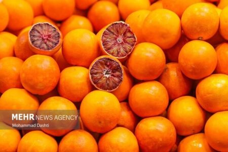 تشدید نظارت قضایی برای آرامش بازار ایلام
