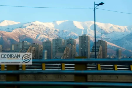 زمین «شمال» در بازار مسکن «تهران»؛ ماجرا چیست؟