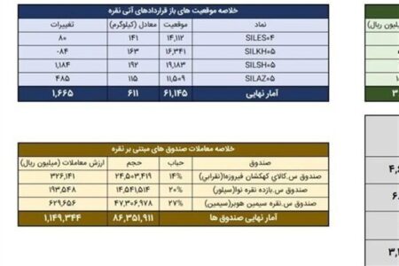 معامله 744 کیلوگرم شمش نقره در بورس کالا