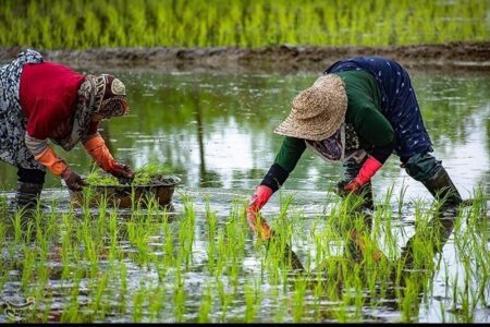 «نجات آب» ــ 53 | آموزش زنان کشاورز در مناطق کم‌برخوردار