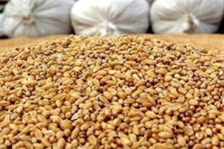 پرداخت تسهیلات برای خرید نهاده‌ با حذف ارز ترجیحی