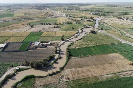 اخلاصی: ۱۰ هزار هکتار اراضی کشاورزی مرکزی به حوزه صنعت واگذار شد