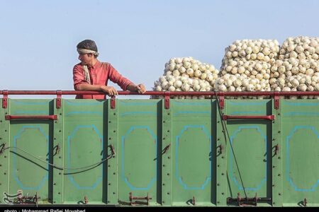 اعلام نرخ رسمی خرید تضمینی سیب‌زمینی و پیاز