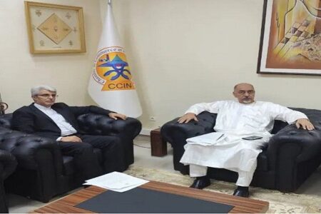 برگزاری اجلاس همکاری‌های اقتصادی ایران و آفریقا در تهران