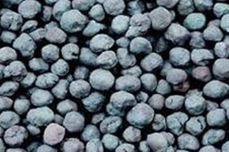 بزرگترین تامین مالی تاریخ بورس کالا فردا انجام می شود