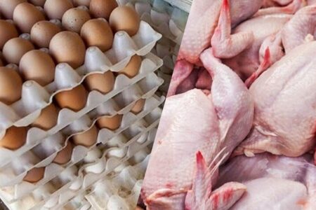 جزئیات کاهش قیمت مرغ، تخم مرغ و گوشت قرمز در بازار