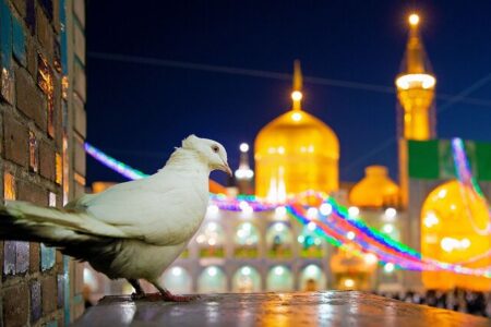 جنگ‌های شناختی در کلام و سیره امام رضا(ع) بررسی می شود