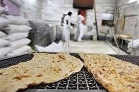 دولت اسیر استدلال‌های غلط مدافعان حذف یارانه نان نشود