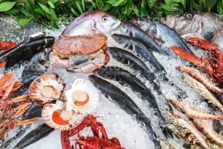 صادرات  محصولات شیلاتی ایران به 61 کشور جهان