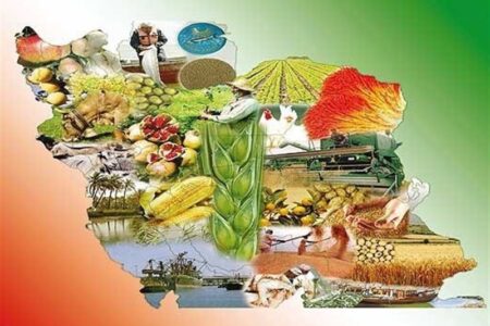 طرح ملی تنظیم بازار یکچارچه بخش کشاورزی آغاز شد