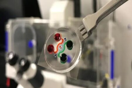 فراخوان معاونت علمی برای حمایت از شرکت‌های پیشرو در میکروالکترونیک