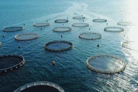 ماهی‌گیری اوقاف از صنعتی جدید در خلیج فارس؛ شوتی‌هایی که صیاد شدند