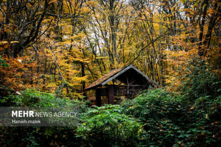مدیریت پایدار هیرکانی با مشارکت مردم محقق می‌شود
