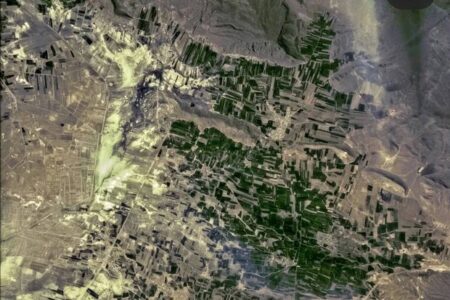 مطالعه پژوهشگر ایرانی دانشگاه تربیت مدرس جهانی شد؛ علفزارها مخزن کربن