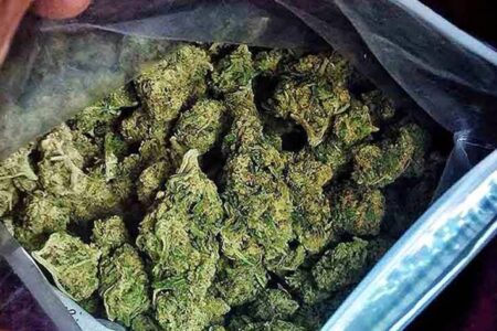 ناکامی قاچاقچی مواد مخدر در انتقال ۴۷ کیلوگرم ماده مخدر گراس