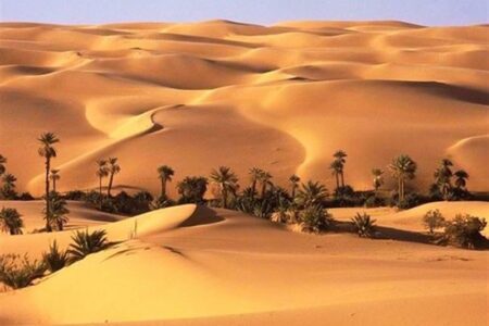 «نجات آب» ــ 69| حمایت از زنجیره ارزش پایدار محصولات در مناطق خشک