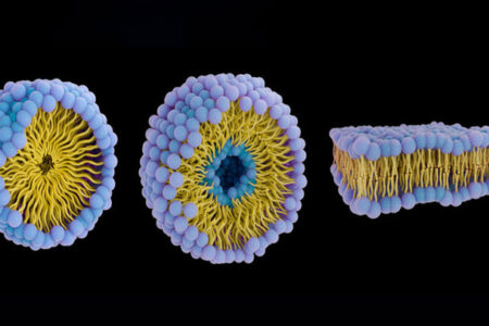 نسل جدید ربات‌ها که مانند زیردریایی در بدن شنا می‌کنند