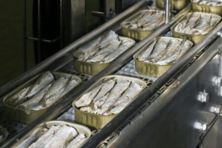 نگاهی به صنعت جهانی کنسرو ماهی تا ۲۰۳۳؛ سهم ۱۰درصدی کنسرو ماهی از تجارت جهانی ماهی